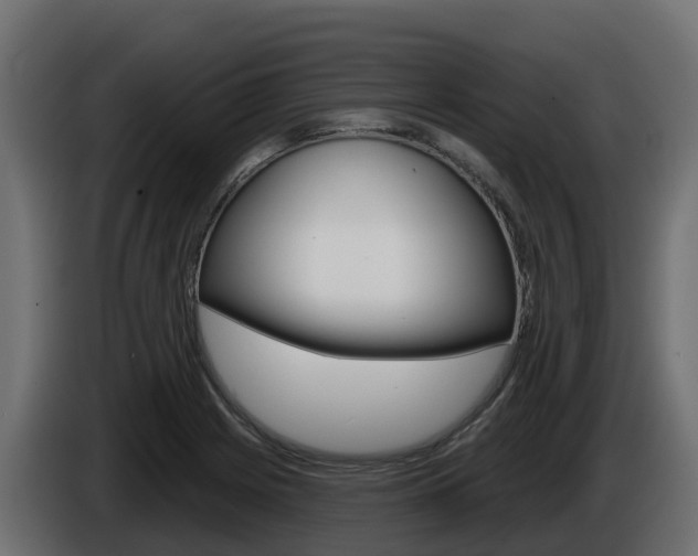 X0000086021225200703230925