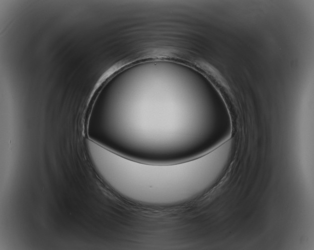 X0000086021226200703230925
