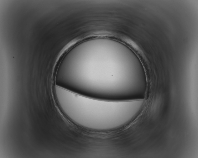 X0000086021229200703230925