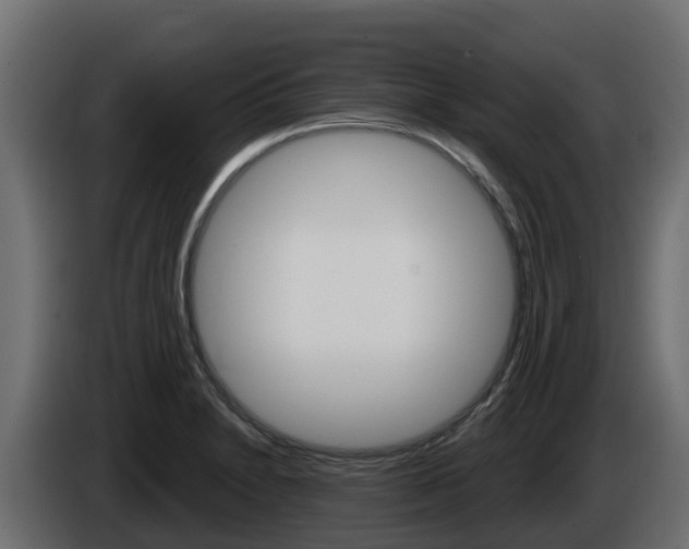 X0000086021230200703230925