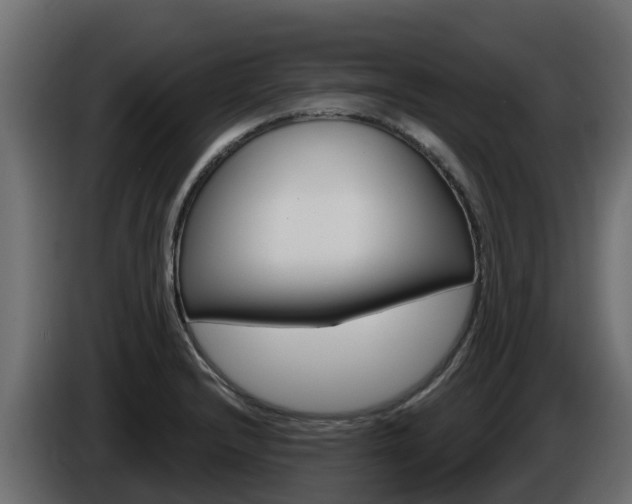 X0000086021232200703230925