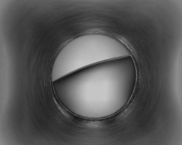 X0000086021233200703230925