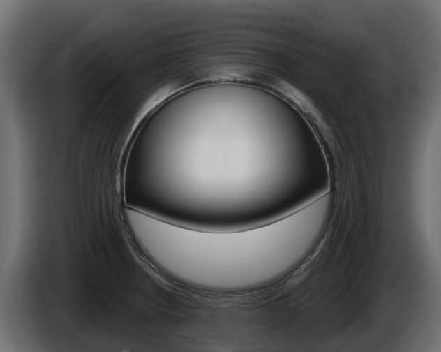 X0000086021234200703230925