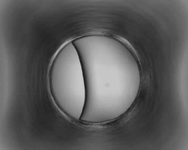 X0000086021235200703230925