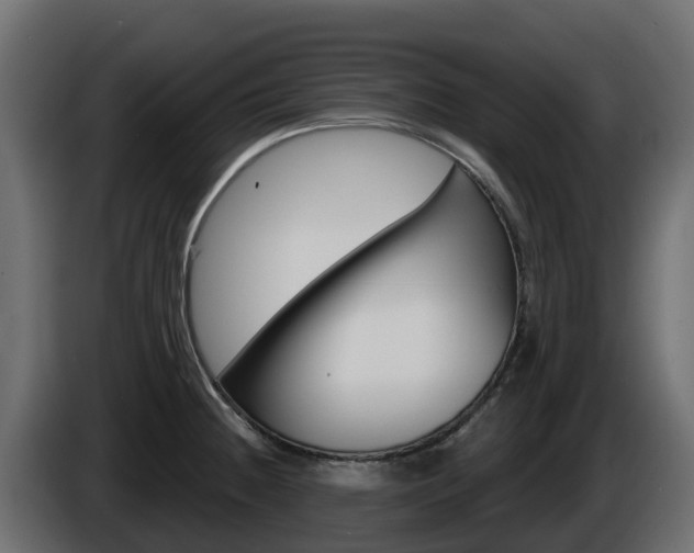 X0000086021236200703230925