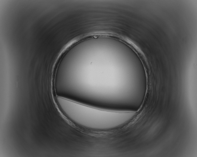 X0000086021237200703230926