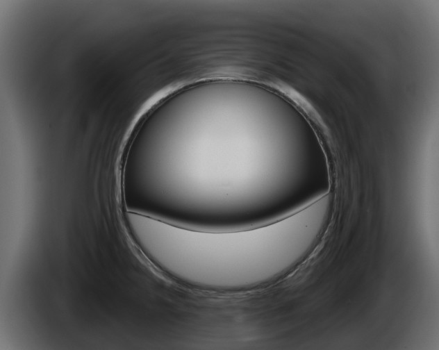 X0000086021238200703230926