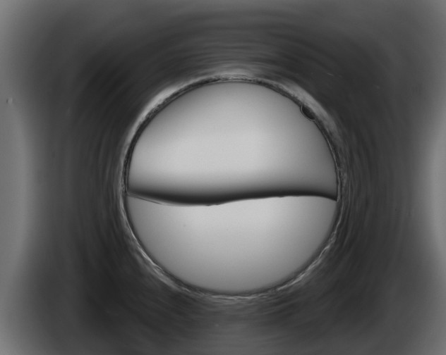 X0000086021240200703230926