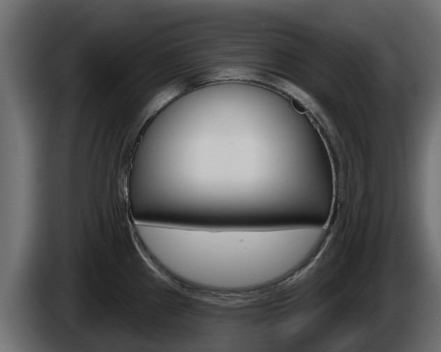 X0000086021241200703230926
