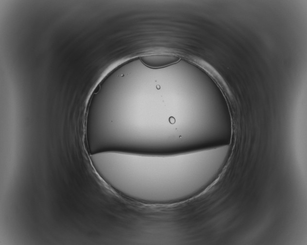 X0000086021244200703230926