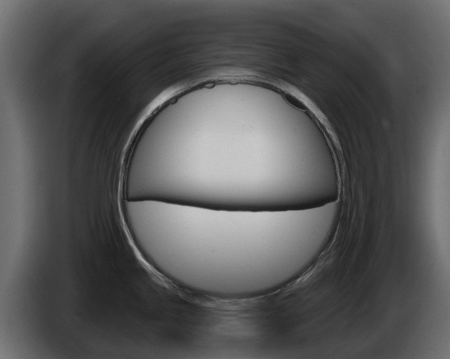 X0000086021245200703230926