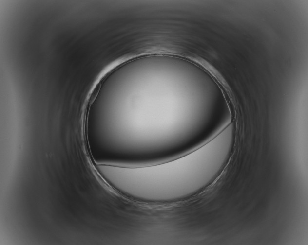 X0000086021246200703230926