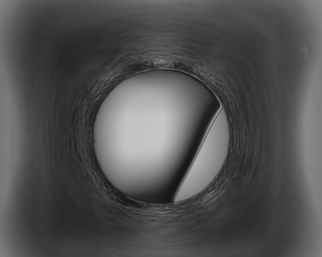 X0000086021249200703230925