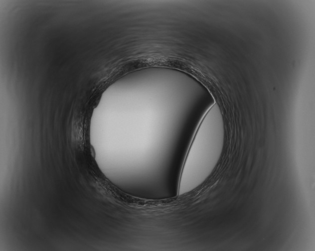 X0000086021250200703230925