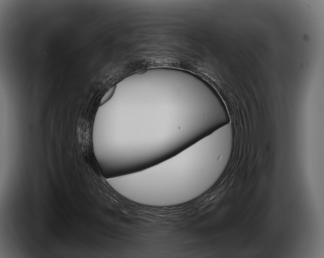 X0000086021251200703230925