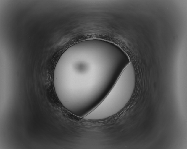 X0000086021253200703230925