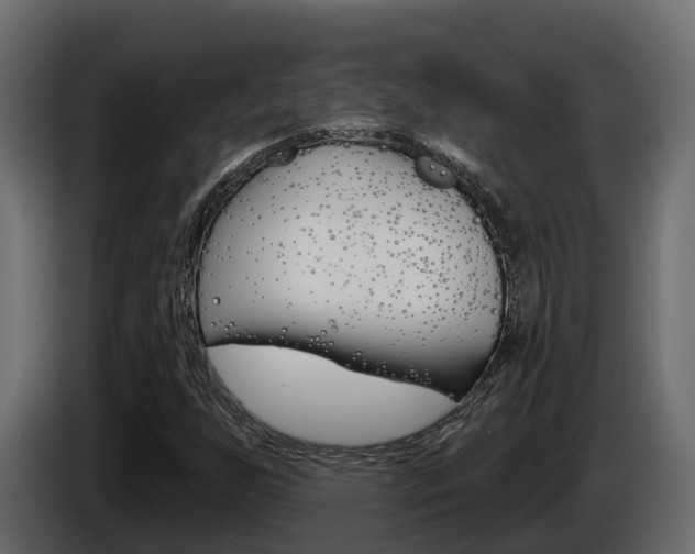 X0000086021255200703230925