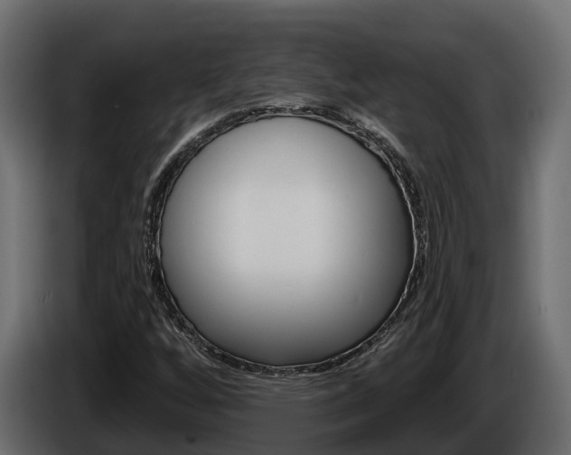 X0000086021256200703230925