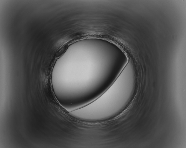 X0000086021257200703230925