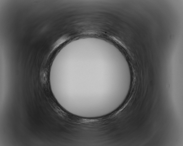 X0000086021258200703230925
