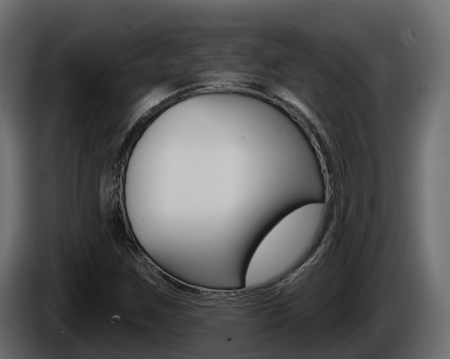X0000086021259200703230925