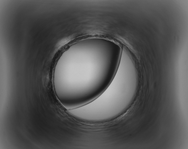 X0000086021261200703230925