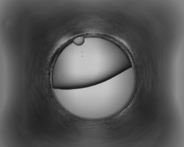 X0000086021263200703230925