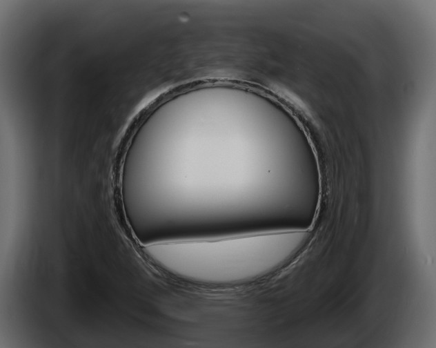 X0000086021264200703230925