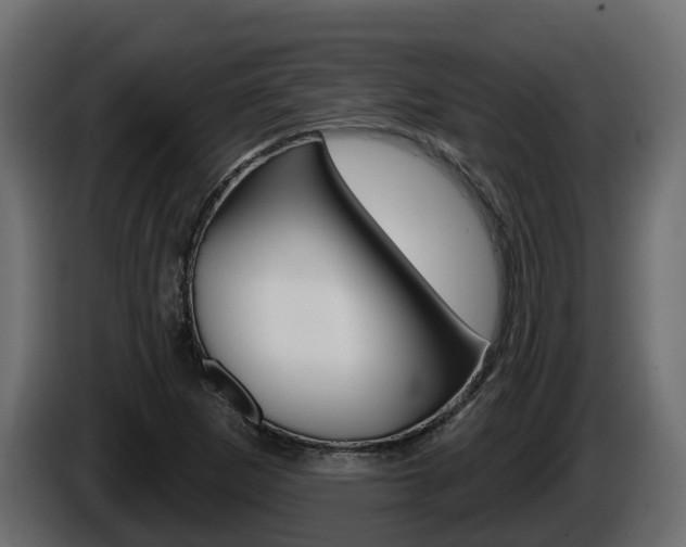 X0000086021265200703230925