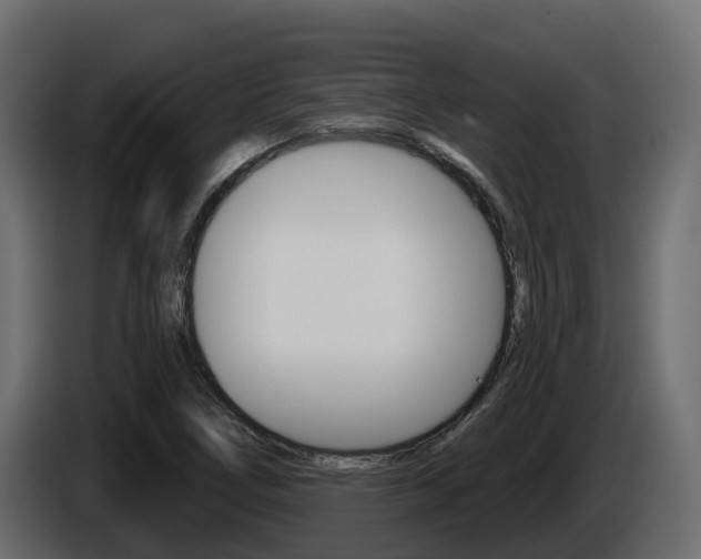 X0000086021266200703230925