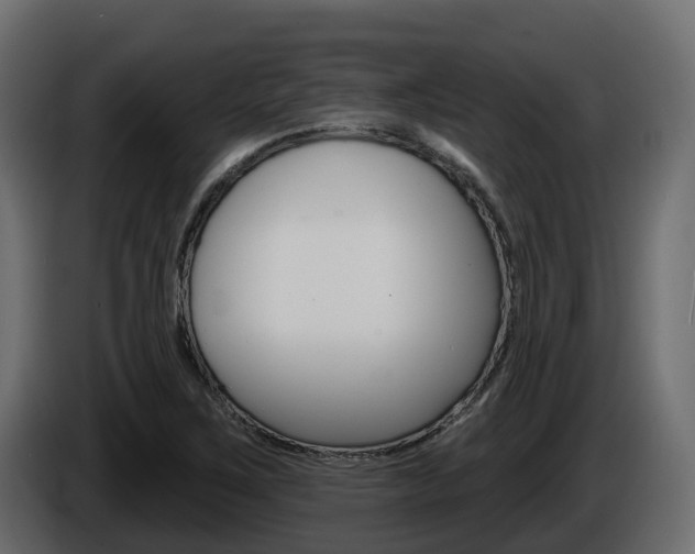 X0000086021267200703230925