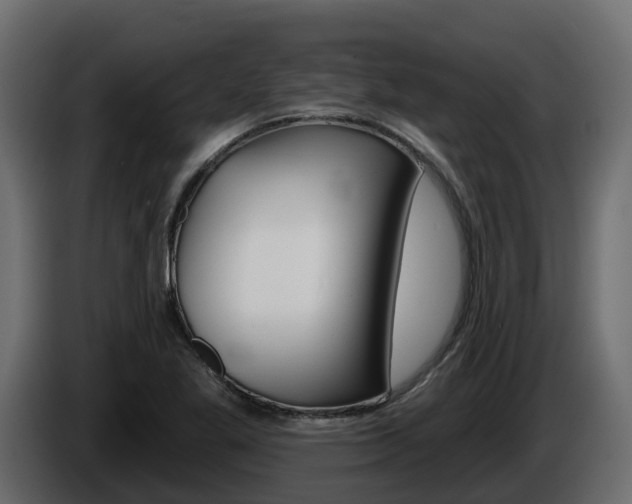 X0000086021269200703230925
