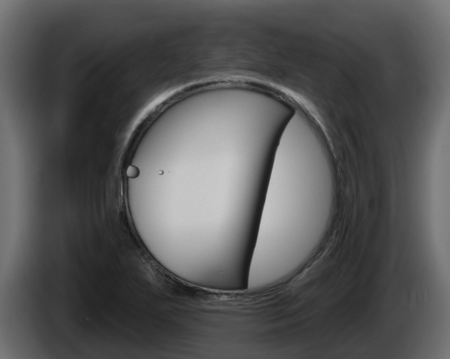 X0000086021271200703230925