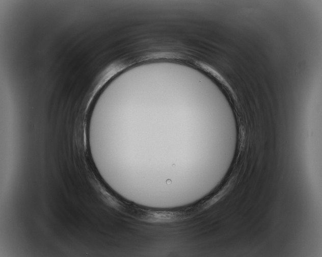 X0000086021274200703230925