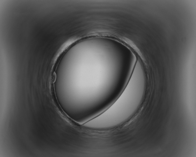 X0000086021277200703230925