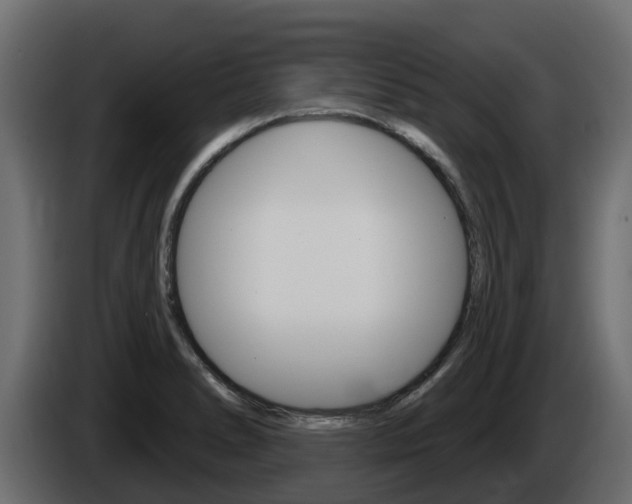 X0000086021278200703230925