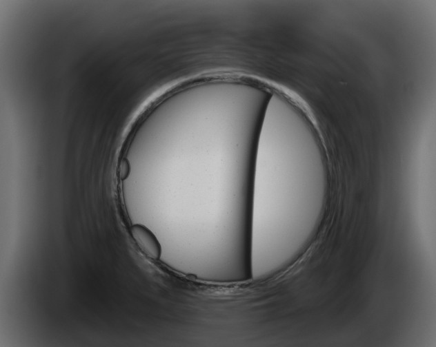 X0000086021279200703230925