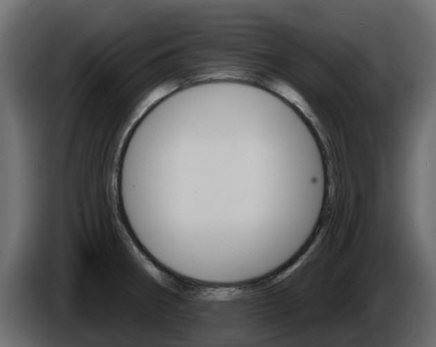 X0000086021282200703230925