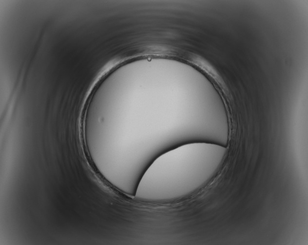 X0000086021283200703230925
