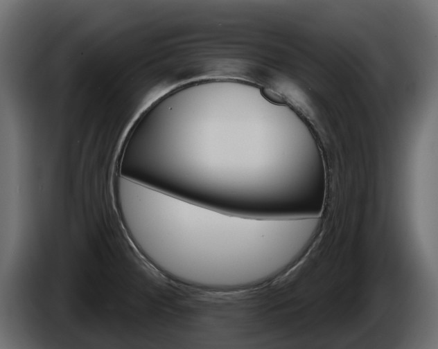 X0000086021284200703230924