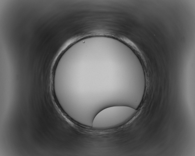 X0000086021286200703230924