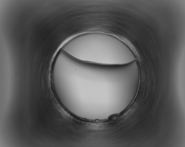X0000086021288200703230924