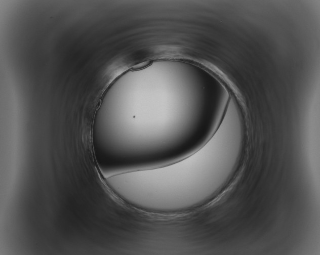 X0000086021289200703230924
