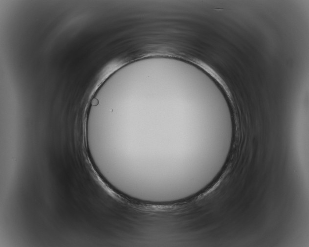 X0000086021290200703230924