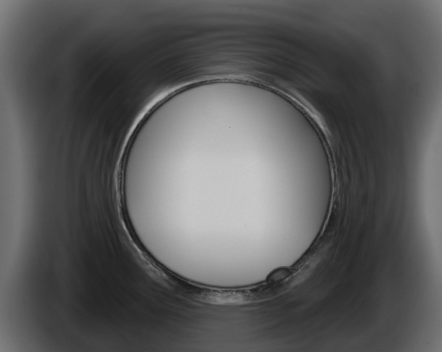 X0000086021291200703230924