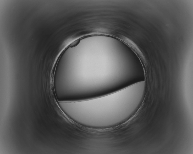 X0000086021292200703230924