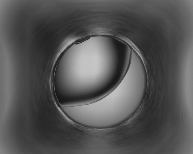 X0000086021293200703230924
