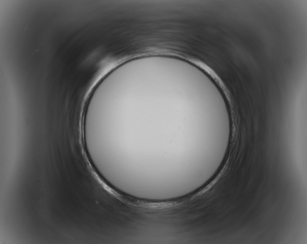 X0000086021294200703230924