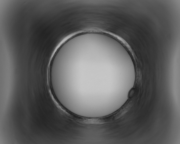 X0000086021295200703230924