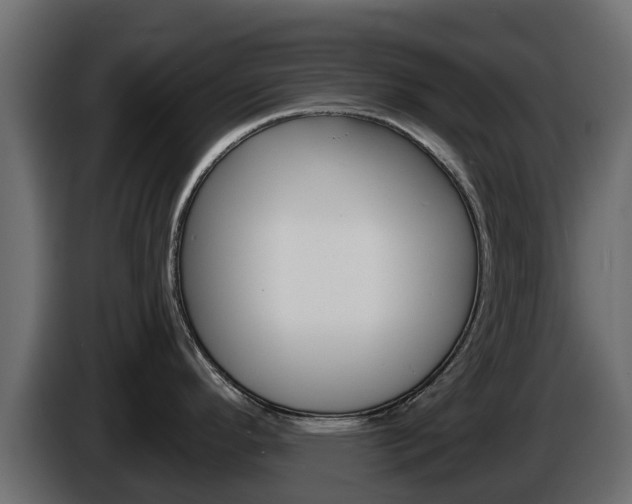 X0000086021296200703230924